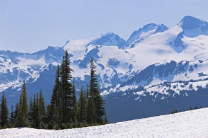 Covered Prints: Snow covered mountains near Whistler, British Columbia, Canada, North America