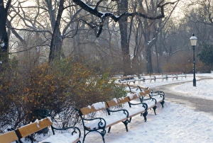 A snow covered park in Vienna in Winter, Austria