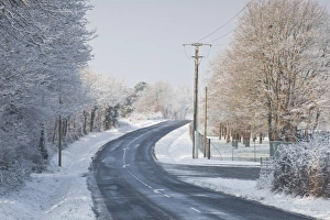 Tree Lined Prints: A snow covered road near to Villefranche-sur-Cher, Loir-et-Cher, Centre, France, Europe