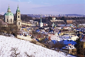 Mala Strana Prints: Snow covered Schonbornska Garden