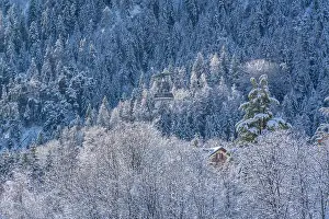 Chalet Prints: Snow covered trees and Courmayeur to Plan Checrouit cable car viewed from Courmayeur in winter
