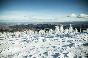 Romania Prints: Snow covers fir trees in mountains during winter season near a vast landscape