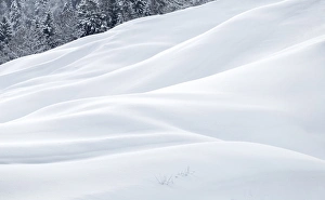 Typically Swiss Prints: Snow dunes, Switzerland, Europe