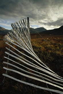 Fence Prints: Snow fences and moorland