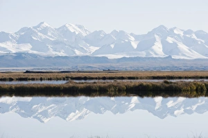 Images Dated 8th October 2008: Snow mountains reflected in a lake, Bayanbulak, Xinjiang Province, China, Asia