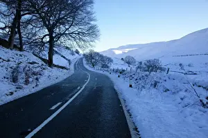 Branch Prints: Snow scene on Snake Pass, Peak District National Park