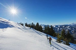 Snow Shoeing Prints: Snow shoeing at Les Houches, Chamonix Valley, Rhone Alps, Haute Savoie, France, Europe