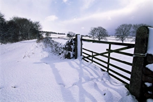 Hartington Prints: Snow on Tissington Trail, Hartington, Derbyshire, England, United Kingdom, Europe
