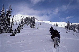 Adolescent Prints: Snowboarders