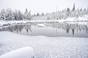 Grand Teton Prints: Snowscape reflected in pond, Grand Teton National Park, Wyoming, United States of America