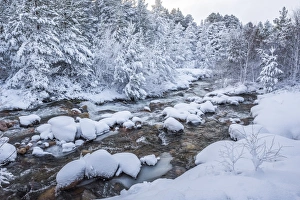 Snowy landscape at CairnGorm Mountain, Cairngorms National Park, Scotland, United Kingdom