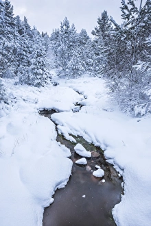 Snowy landscape at CairnGorm Mountain, Cairngorms National Park, Scotland, United Kingdom