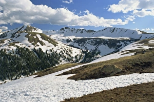 Passe Prints: Snowy landscape in June