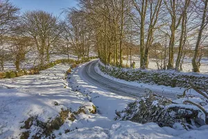 Lane Prints: A snowy lane in the dead of winter