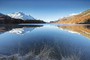 Lake Champfer Prints: The snowy peaks and colorful woods are reflected in Lake Champfer