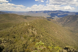 Images Dated 26th December 2007: Snowy River valley, Snowy River National Park, Victoria, Australia, Pacific