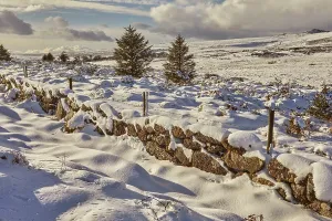 Snowfall Prints: A snowy winter Dartmoor landscape