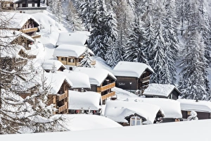 Ski Resort Prints: The snowy woods frame the typical mountain huts