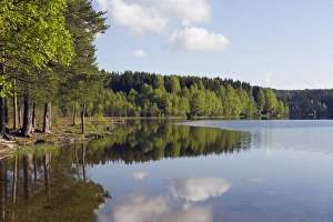 Oslo Prints: Sognsvann Lake, Oslo, Norway, Scandinavia, Europe