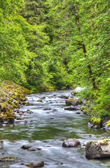 Washington Prints: Sol Doc River, Olympic National Park, UNESCO World Heritage Site, Washington, United