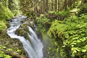 Washington Prints: Sol Duc Falls, Olympic National Park, UNESCO World Heritage Site, Washington, United