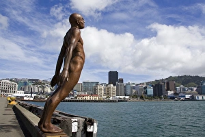 North Island Prints: Solace in the Wind by Max Patte, Wellington, North Island, New Zealand, Pacific