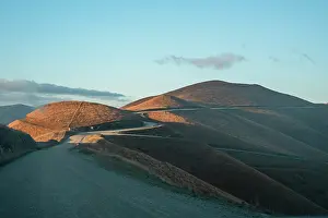 Zealand Prints: Solitary gravel road winds through golden hills under sunlight in New Zealand's landscape