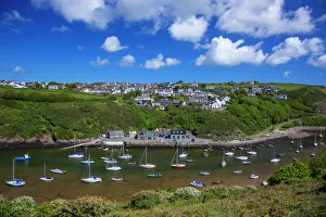 Port Prints: Solva Harbour, Pembrokeshire, Wales, United Kingdom, Europe