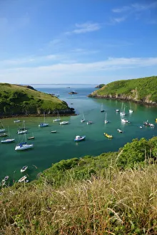 Pembrokeshire Prints: Solva Harbour, Pembrokeshire, Wales, United Kingdom, Europe