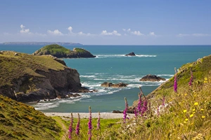 Solva, Pembrokeshire, Wales, United Kingdom, Europe