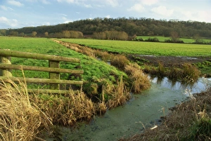 Somerset Levels Prints: Somerset Levels, Somerset, England, United Kingdom, Europe