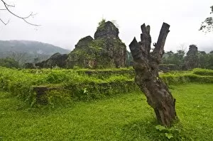 Images Dated 28th December 2009: My Son Sanctuary, UNESCO World Heritage Site, Vietnam, Indochina, Southeast Asia, Asia