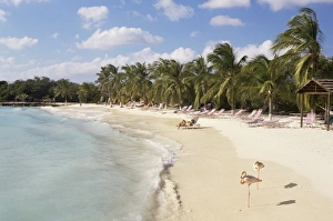 Aruba Prints: Sonesta Island, Aruba, West Indies, Dutch Caribbean, Central America
