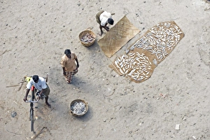 Tamil Nadu Prints: Sorting and drying the mornings catch of fish, Dhanushkodi, Tamil Nadu, India, Asia