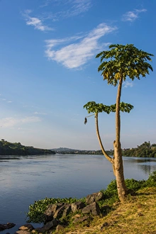 Jinja Prints: Source of the Nile in Jinja, Uganda, East Africa, Africa