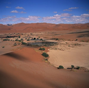 Namibnaukluft Park Prints: The Soussusvlei sand dunes in Naukluft Park in