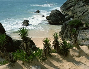 Mid Atlantic Prints: South coast beach, Bermuda, Central America, mid Atlantic