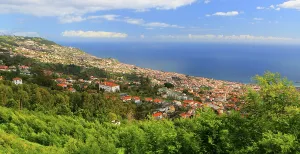 Vacationers Prints: South coast near Funchal, Madeira