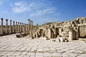 Images Dated 14th October 2007: South Decumanus and South Tetrapylon, Jerash, a Roman Decapolis city, Jordan, Middle East
