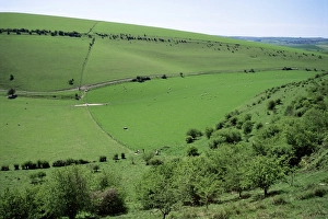South Downs Prints: The South Downs between Lewes and Glynde, East Sussex, England, United Kingdom, Europe