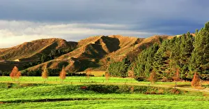 Zealand Prints: South Island, New Zealand