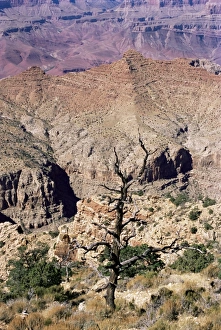 South Rim, Grand Canyon