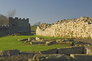 Northumbria Prints: South wall of Roman Fort at Vindolanda, looking west to reconstruction