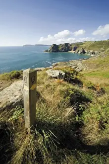 Foot Path Prints: South West Devon coastal footpath approaching Gammon Head, Prawle Point