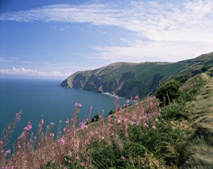 South west peninsula coast path, Devon, England, United Kingdom, Europe