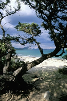 Southeast coast