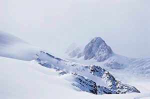Fox Glacier Prints: The Southern Alps
