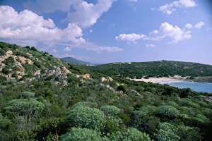 Southwest coast