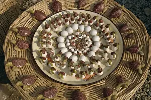 Trays Prints: Souvenir turtles for sale near Istuzu beach where loggerhead turtles come ashore to lay eggs