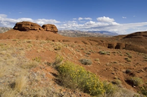National Recreation Area Prints: SP021986